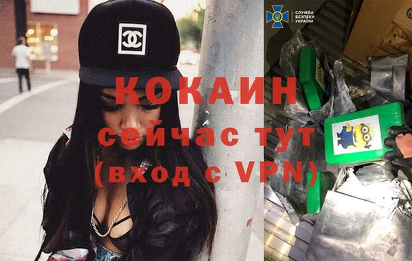 стаф Болотное