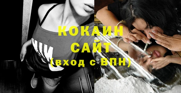 Альфа ПВП Пересвет