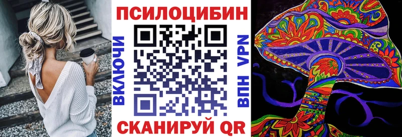 купить наркотик  Адыгейск  Псилоцибиновые грибы мухоморы 